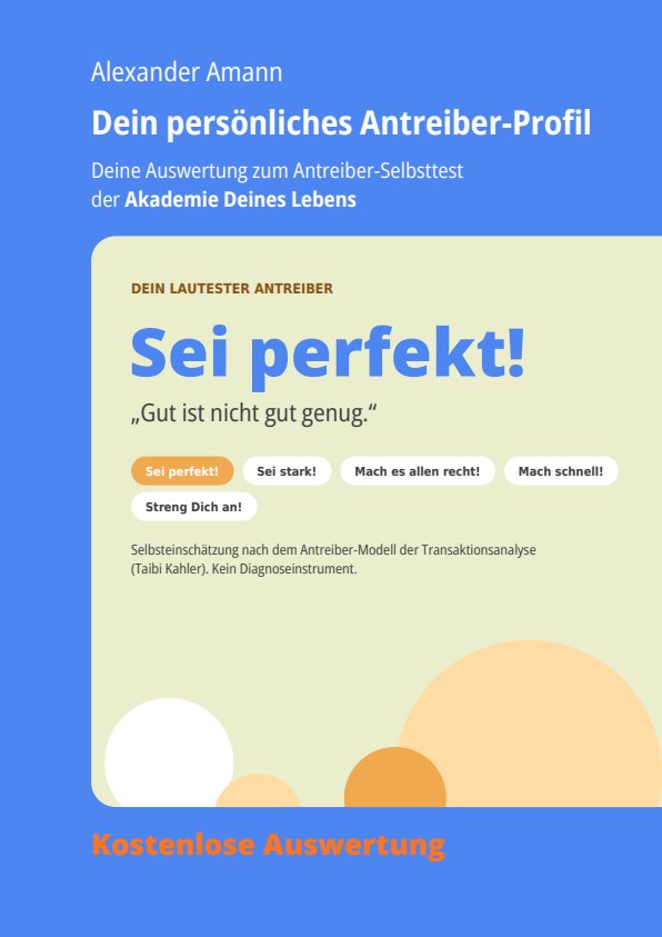 Deckblatt: Dein persönliches Antreiber-Profil, Sei perfekt!