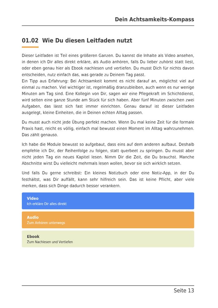 Seite 13 des E-Books: Wie Du diesen Leitfaden nutzt, mit den drei Formaten Video, Audio und E-Book in farbigen Kästen.