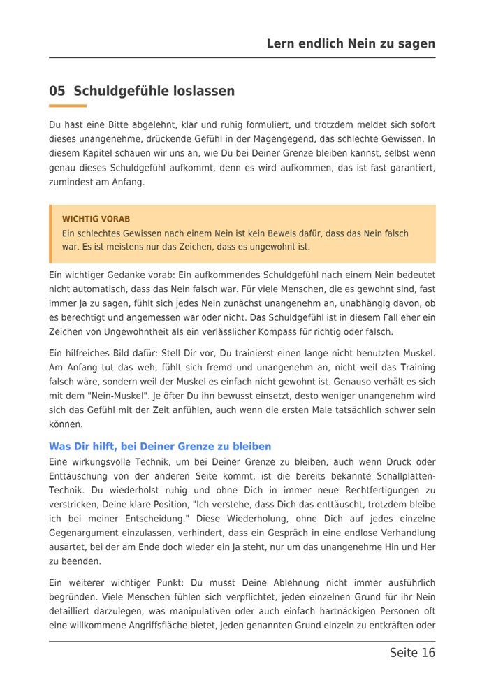 Beispielseite aus dem E-Book: Kapitel 5, Schuldgefühle loslassen, mit Hinweiskasten.
