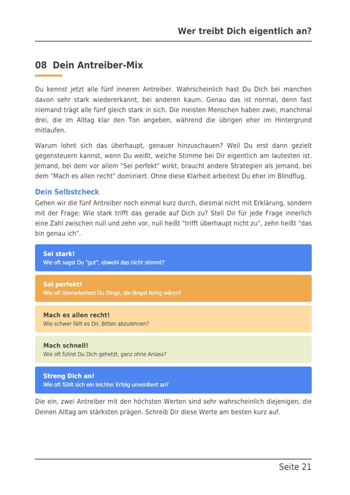 Seite 21 des E-Books: Dein Antreiber-Mix, der Selbstcheck mit Fragen zu jedem Antreiber.