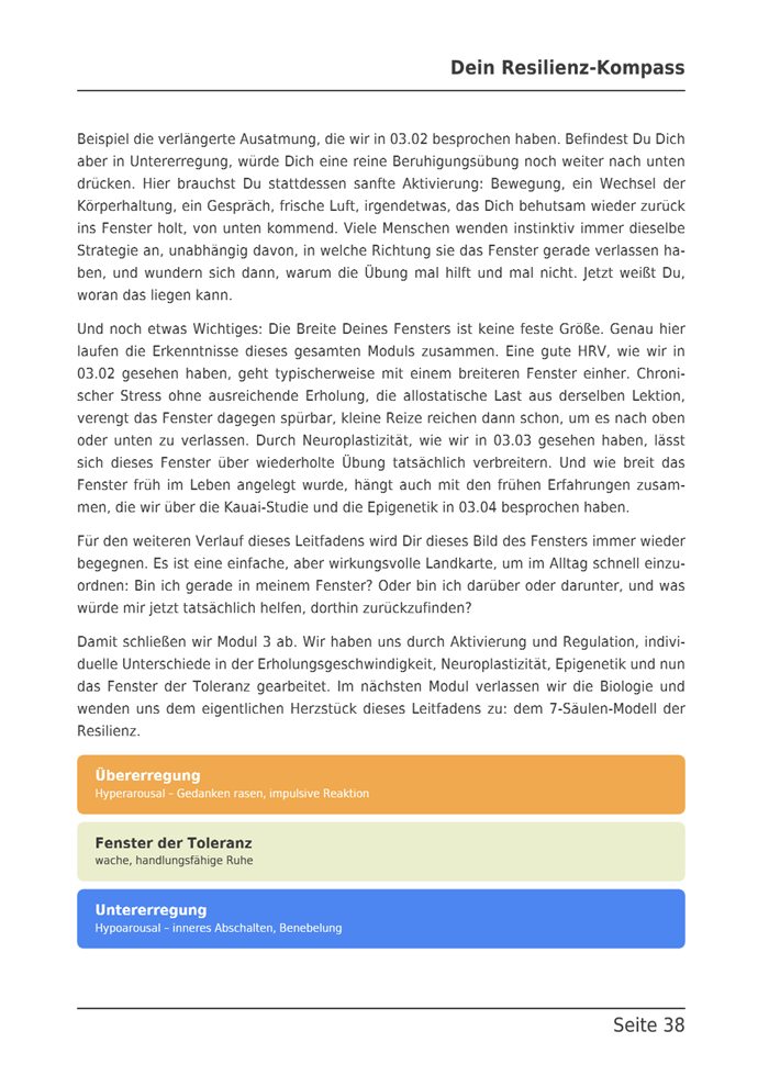 E-Book-Seite mit den drei Zonen Übererregung, Fenster der Toleranz und Untererregung.