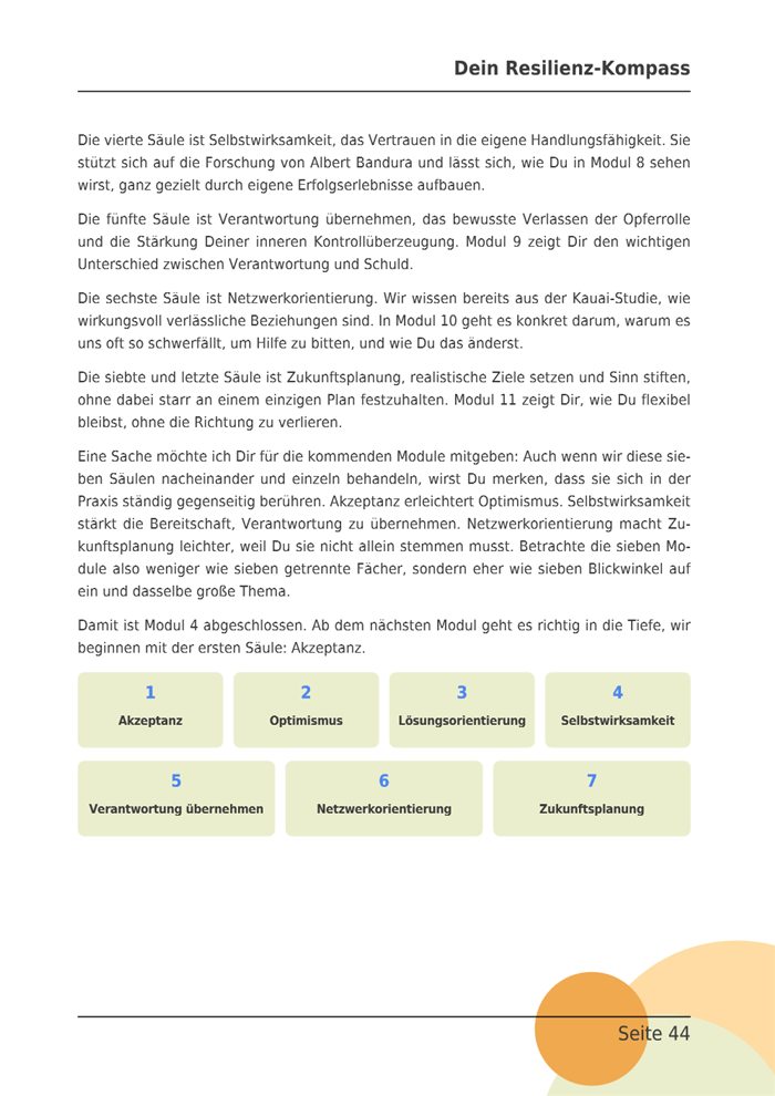 E-Book-Seite mit den sieben Säulen der Resilienz als Übersicht.