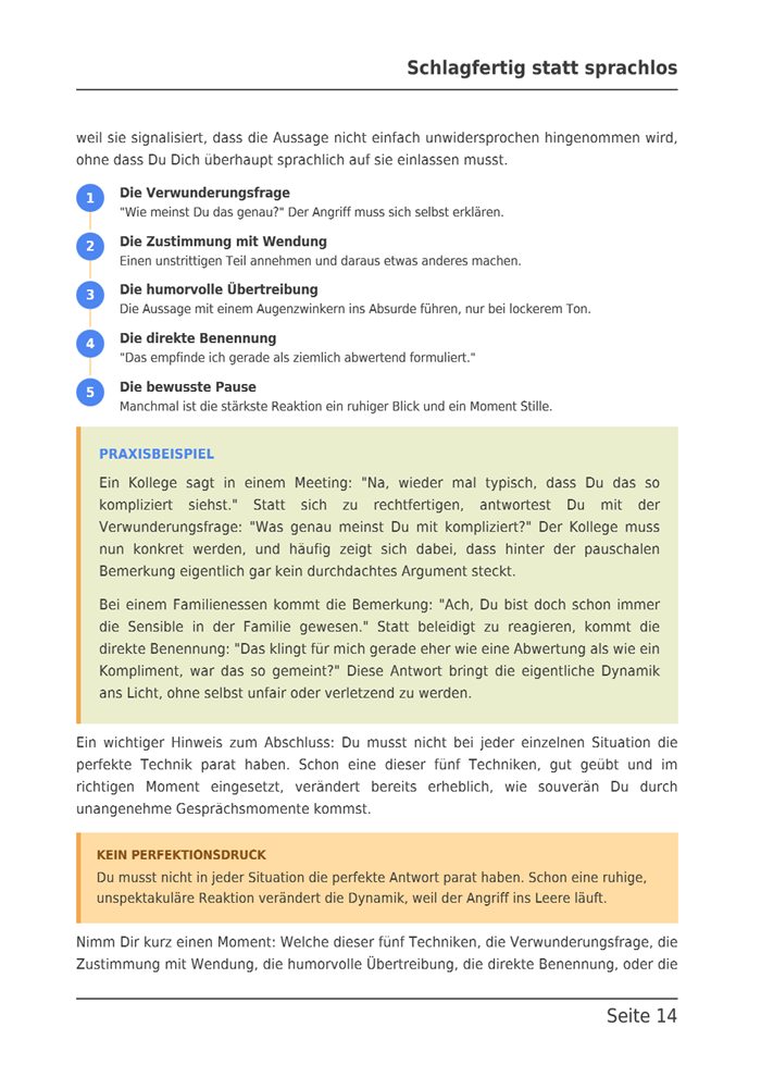 Seite 14 des E-Books: Die fünf Techniken zum Parieren als nummerierte Liste, darunter ein Praxisbeispiel.
