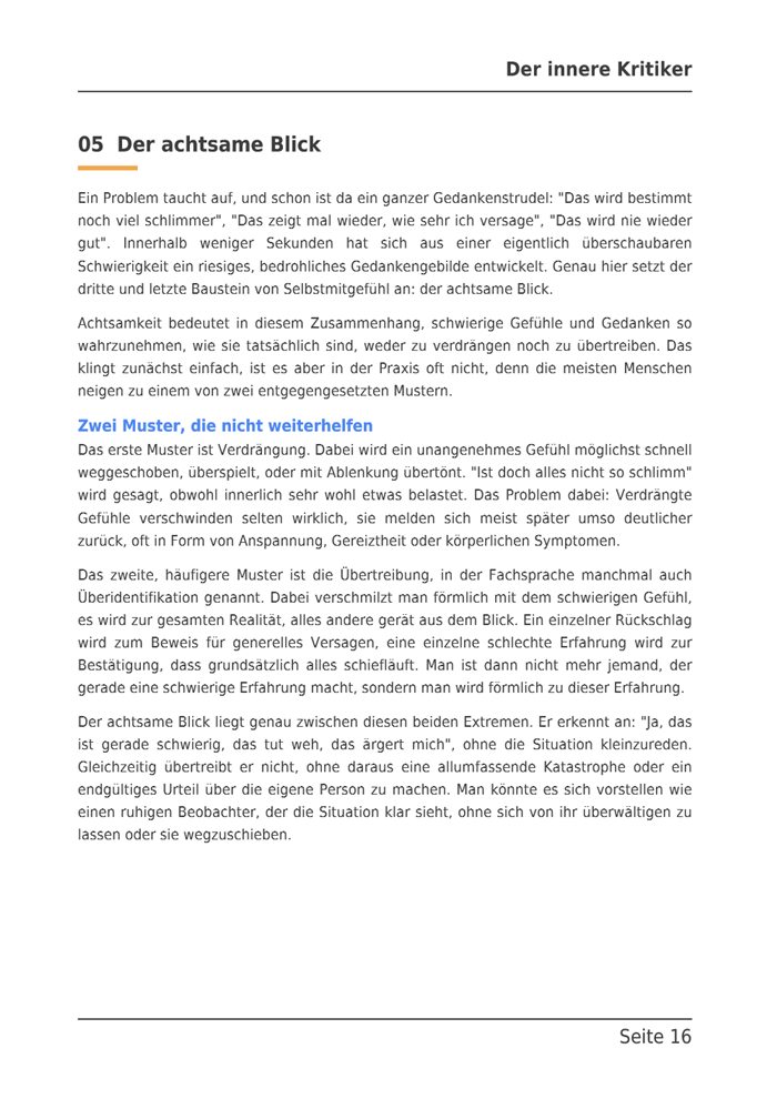 Beispielseite aus dem E-Book: Kapitel 5, Der achtsame Blick, zwei Muster, die nicht weiterhelfen.
