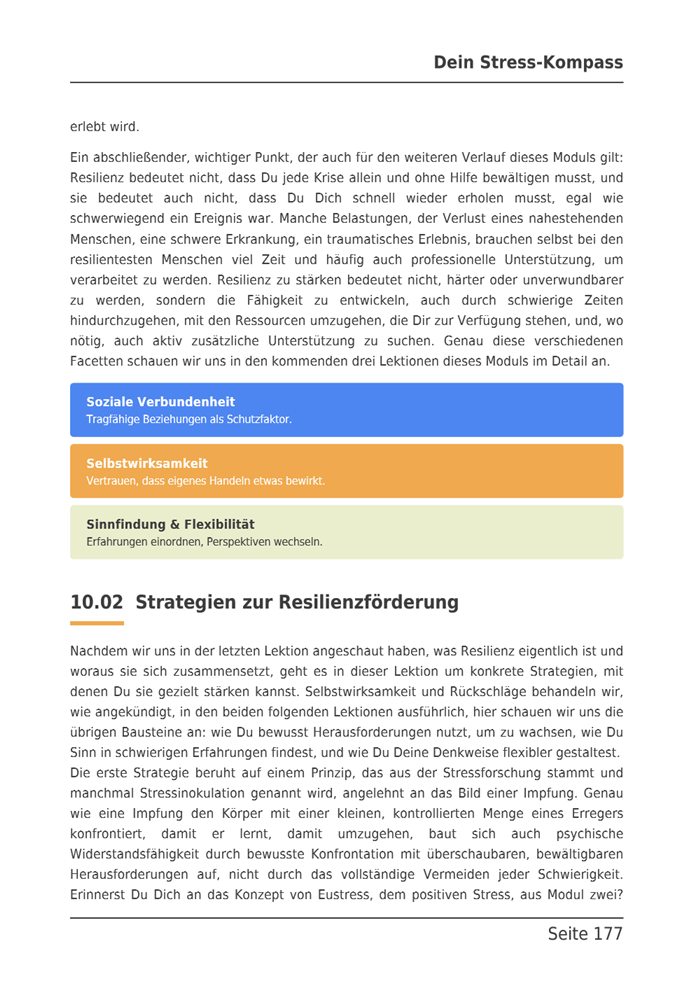 E-Book-Seite mit drei farbigen Kästen zu sozialer Verbundenheit, Selbstwirksamkeit und Sinnfindung.