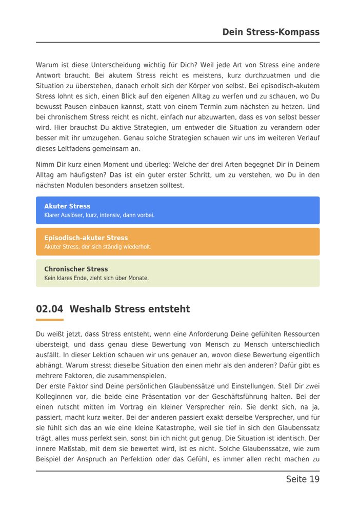 E-Book-Seite mit den drei Stressarten akut, episodisch-akut und chronisch.